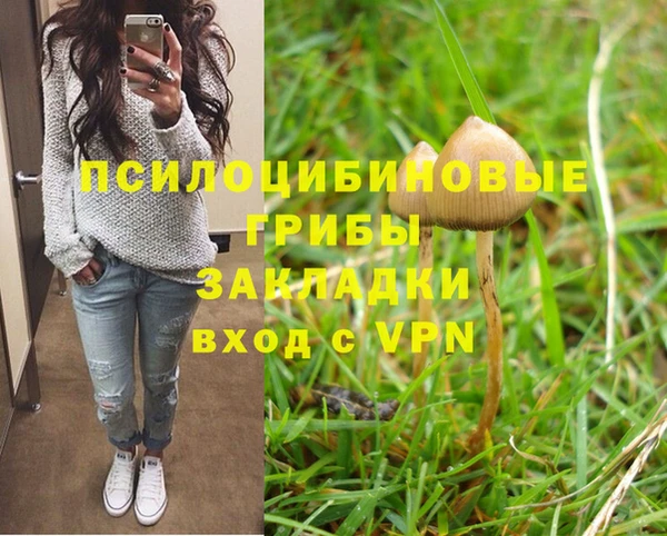 не бодяженный Балахна